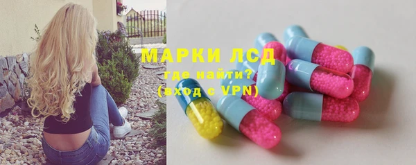 трава Ельня