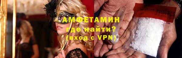 трава Ельня