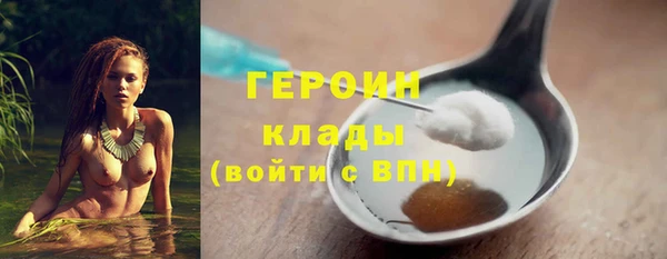 трава Ельня