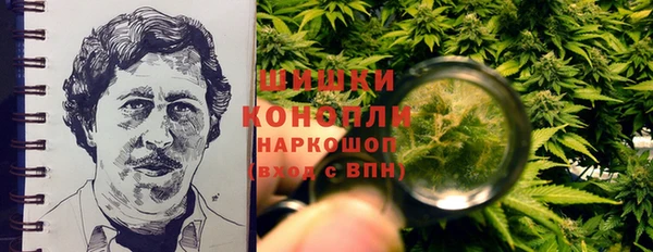 трава Ельня