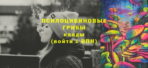 Альфа ПВП Елабуга